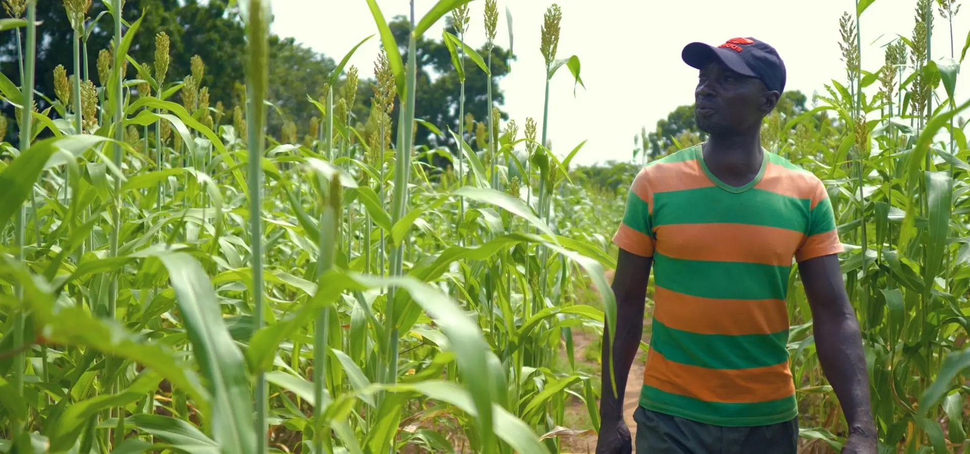 Proudly sourcing over 70% of our grains locally; empowering thousands of smallholder farmers.